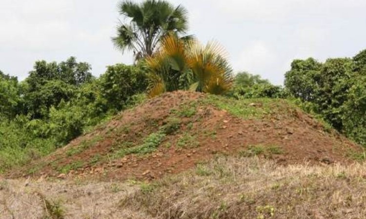 Candi Bara Padang Lawas - Sejarah, Daya Tarik, Tiket & Ragam Aktivitas