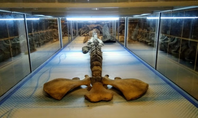 Koleksi Museum Linggam Cahaya