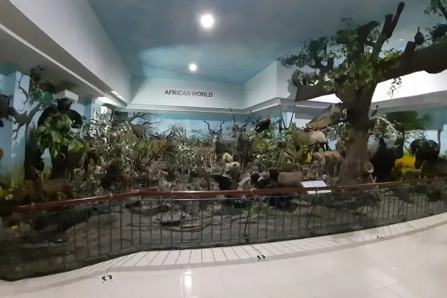 Koleksi yang Dimiliki Rahmat Museum & Gallery