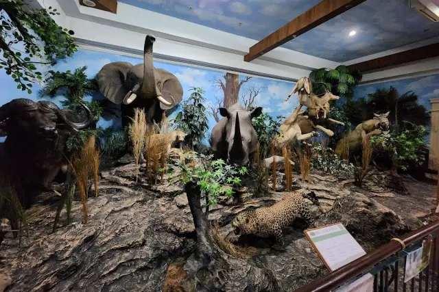 Objek Wisata Terdekat dari Museum & Galeri Rahmat Medan