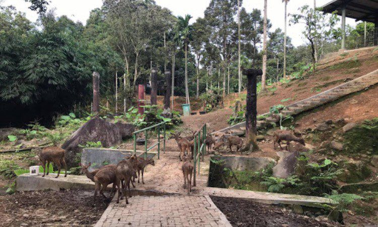 Objek Wisata Terdekat dari Museum Transmigrasi