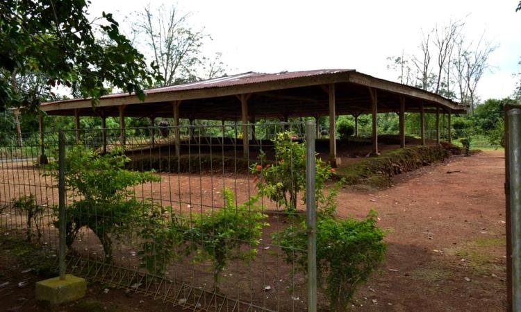 Sejarah Candi Bukik Awang Maombiak