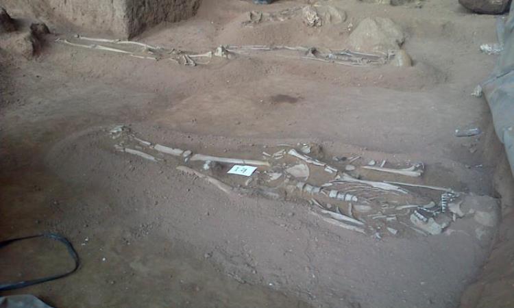 Daya Tarik Museum Gua Harimau