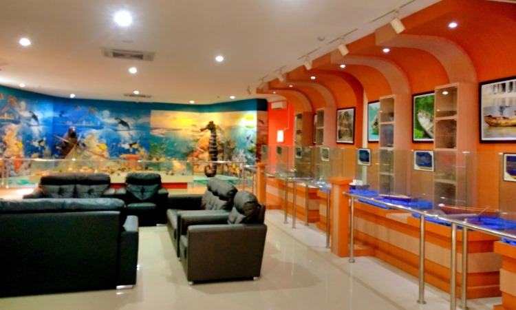 Fasilitas Museum Bahari Bintan