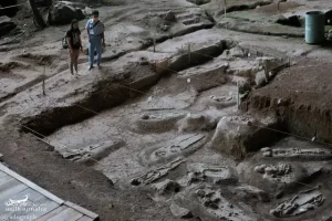 Kegiatan Menarik Museum Gua Harimau