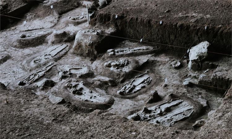 Sejarah Museum Gua Harimau