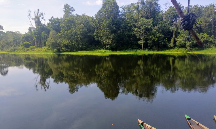Arboretum Universitas Riau