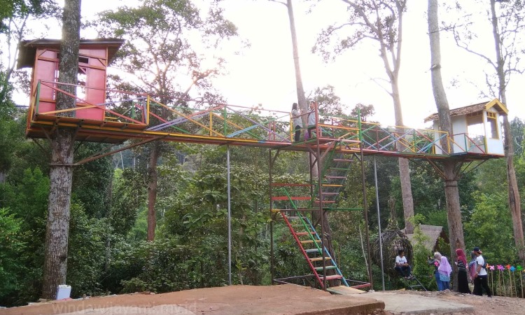 Batam Forest Top