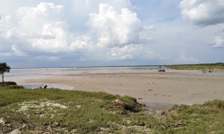 Bono - Sungai Kampar