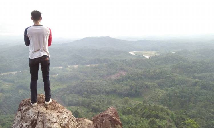 Bukit Ngarau Merangin