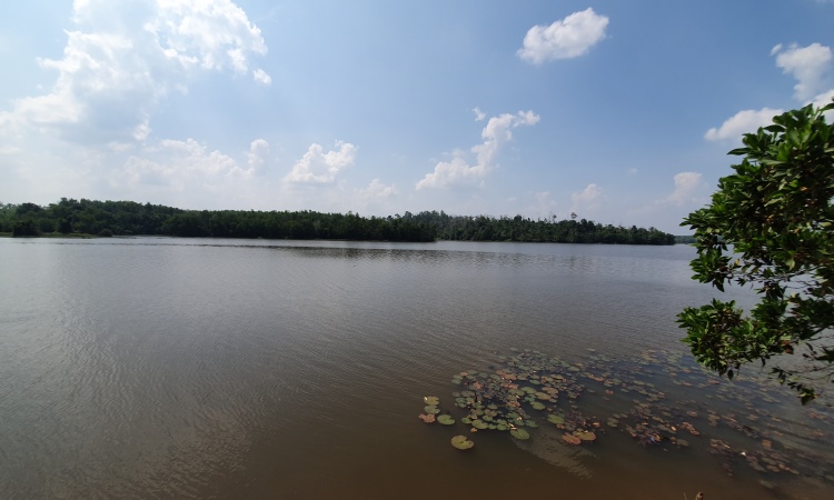 Danau Bandar Kayangan