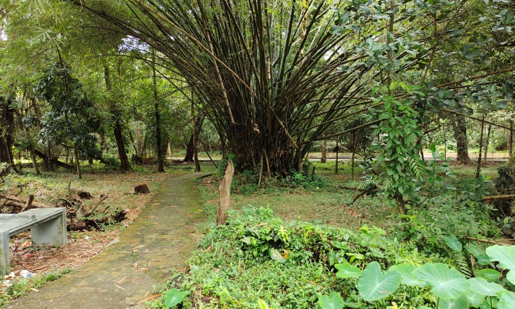 Hutan Kota Pekanbaru