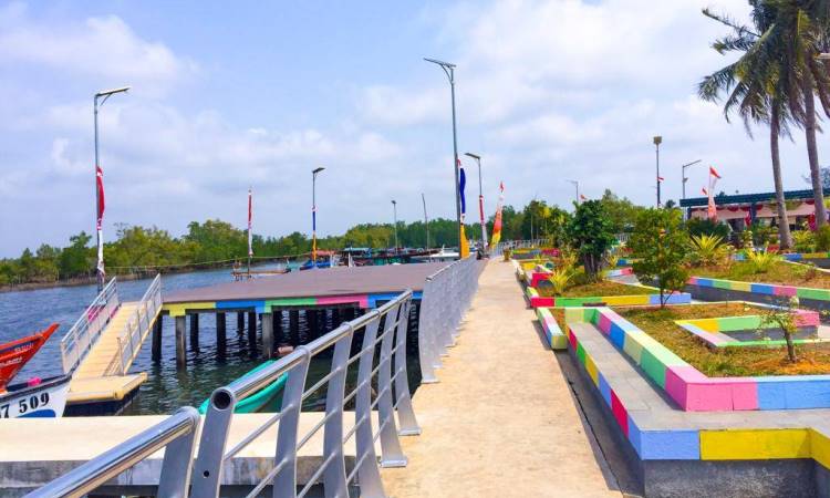 Hutan Mangrove Pulau Baai