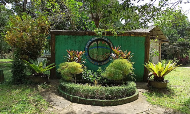 Hutan Wisata Mata Kucing