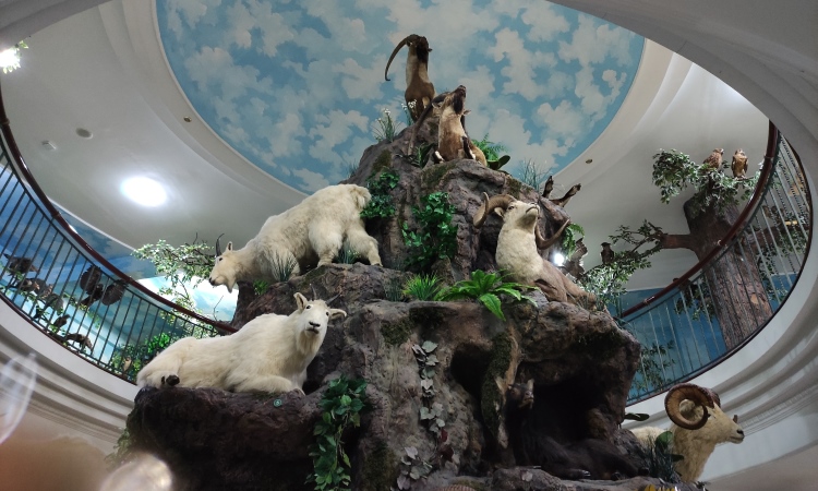 Rahmat Internasional Wildlife Museum & Gallery