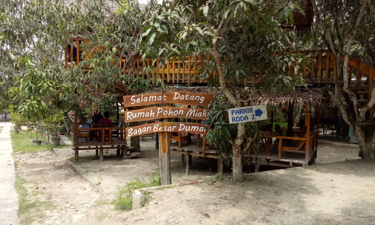 Resto Rumah Pohon Miaki