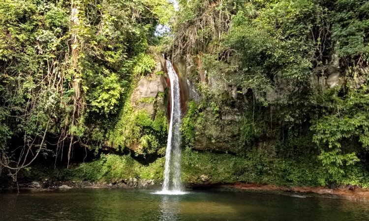 Air Terjun Curup Mangkok