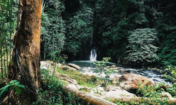 Air Terjun Sempuran Putih