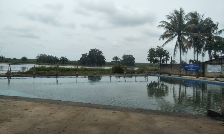 Bendungan Tirta Shinta