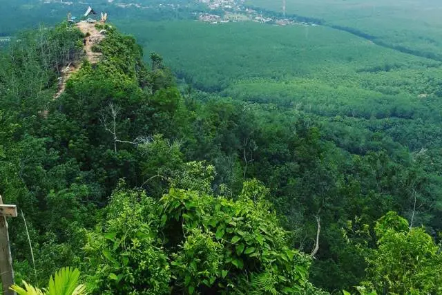Bukit Pamingke di Labuhanbatu Utara