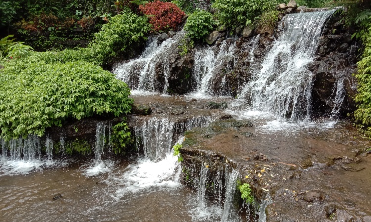 Green Paradise Pagar Alam