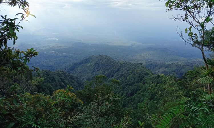 Gunung Pesawaran