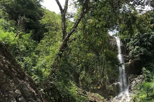 Hajoran di Labuhanbatu