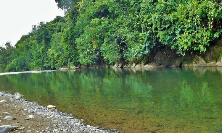 Kawasan Wisata Batu Katak