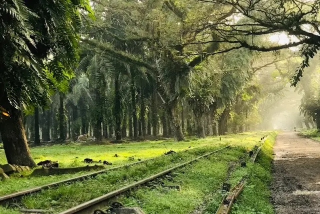 Padang Halaban di Labuhanbatu Utara