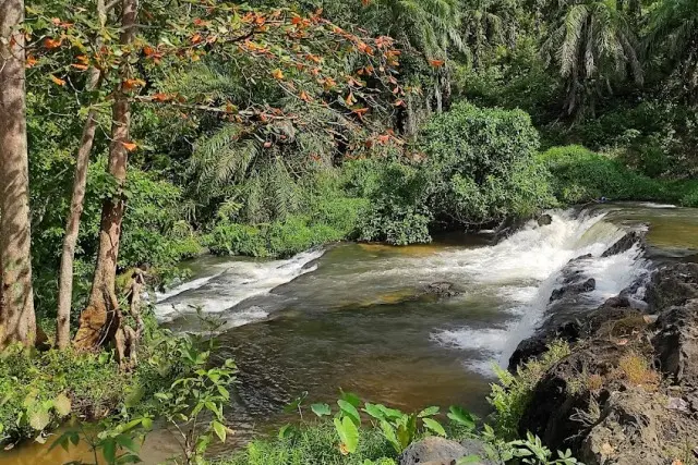 Pandayangan Labuhanbatu Selatan