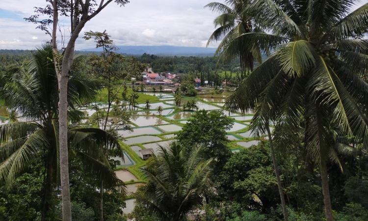 Panorama Puncak Kiambang