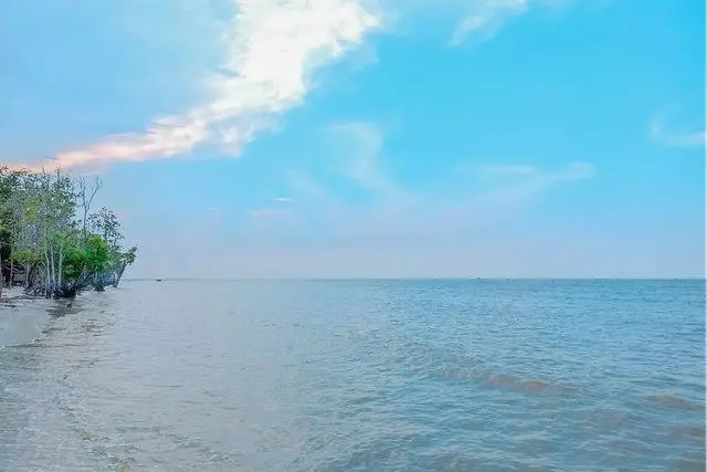 Pantai Monyet di Labuhanbatu