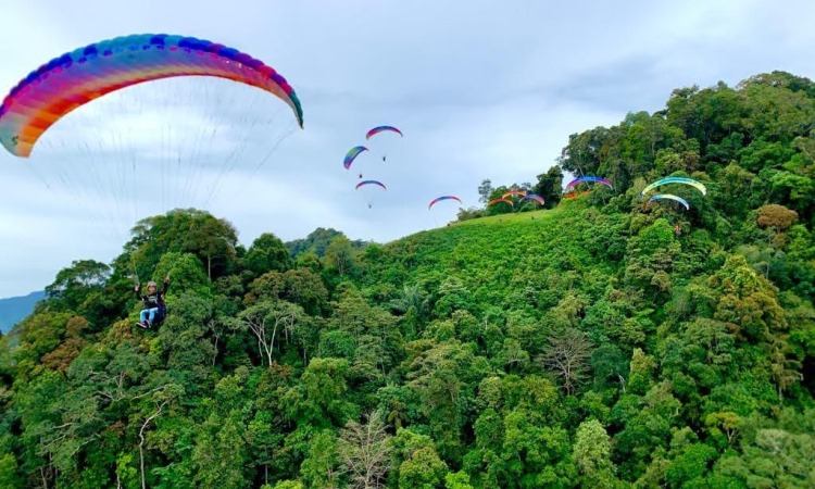 Paralayang Taeh Bukik