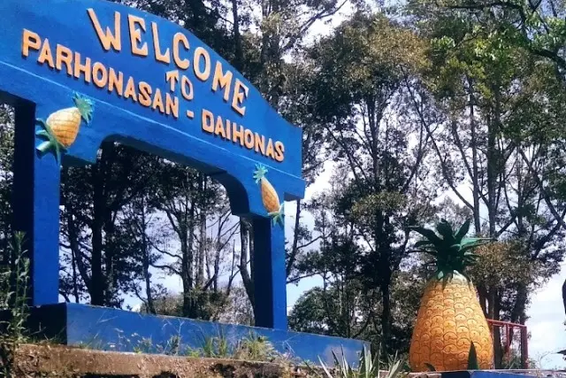 Parhonasan ‘Daihonas’ Lae Parira