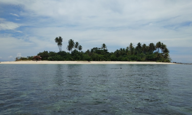 Pulau Ujung