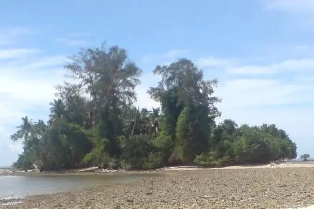 Pulau Unggeh di Mandailing