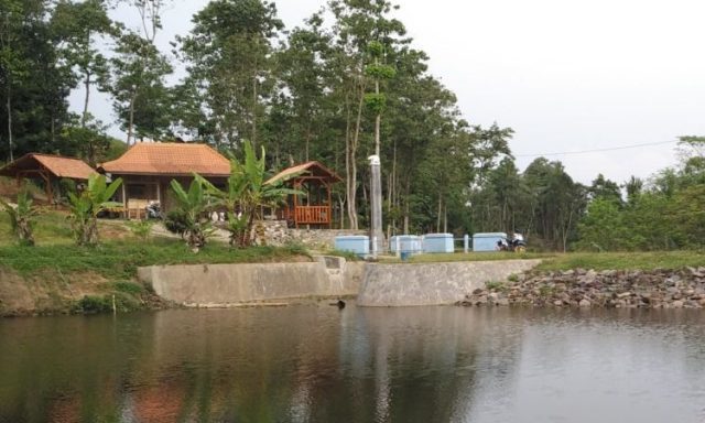 Rumah Kalkun Mitra Alam