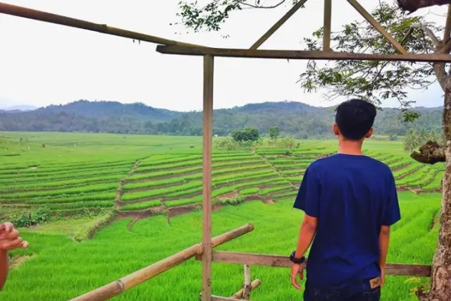 Rumah Pohon Podorejo