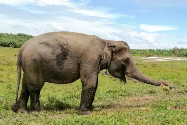 TWA Holiday Resort Labuhanbatu Selatan