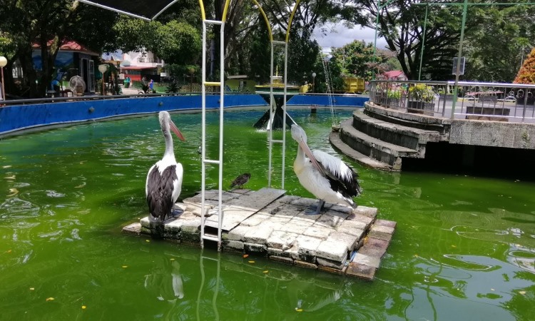 Taman Margasatwa Budaya Kinantan