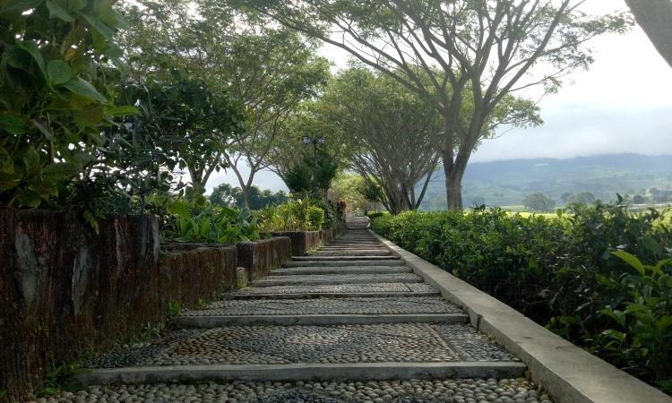 Tangga Seribu Pagar Alam