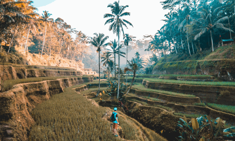 Tempat Wisata Pariaman