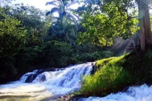 Tempat Wisata di Labuhanbatu Selatan Terbaru
