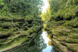Tempat Wisata di Labuhanbatu Utara Terbaru