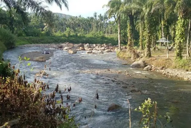 Aek Hapung Padang Lawas