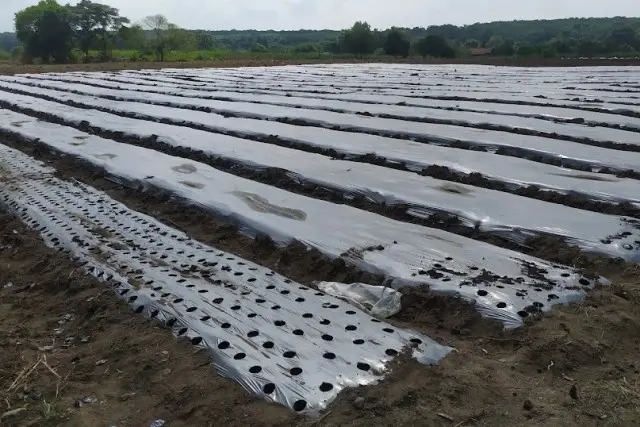 Agro Techno Park Ogan Ilir