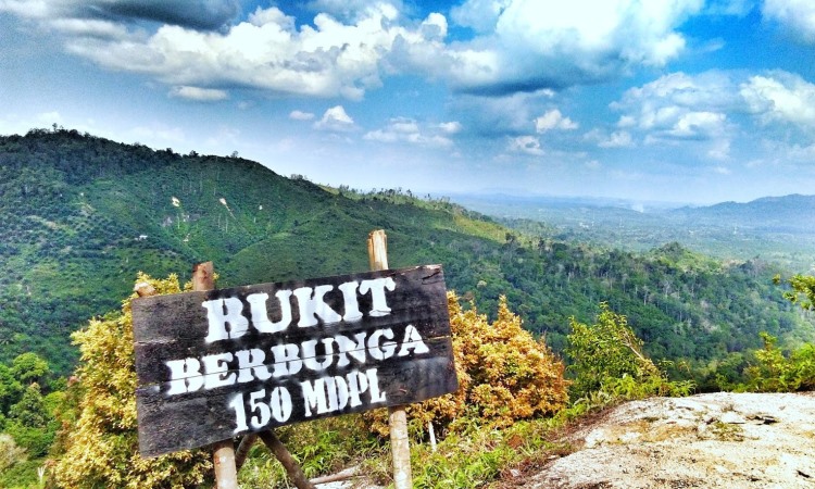 Bukit Berbunga