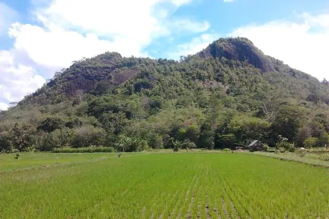 Bukit Cogong Musi Rawas