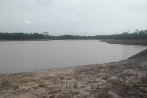 Danau Batanghari Siku