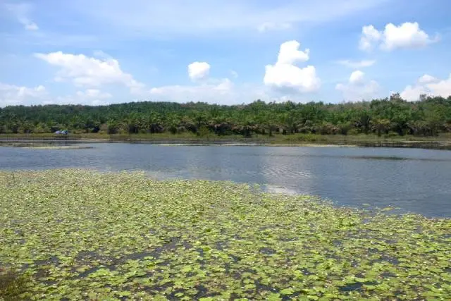Danau Gayambang